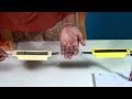 Newton's Third Law of Motion Explained Through Real-Life Examples