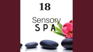 Instrumental Hypnosis