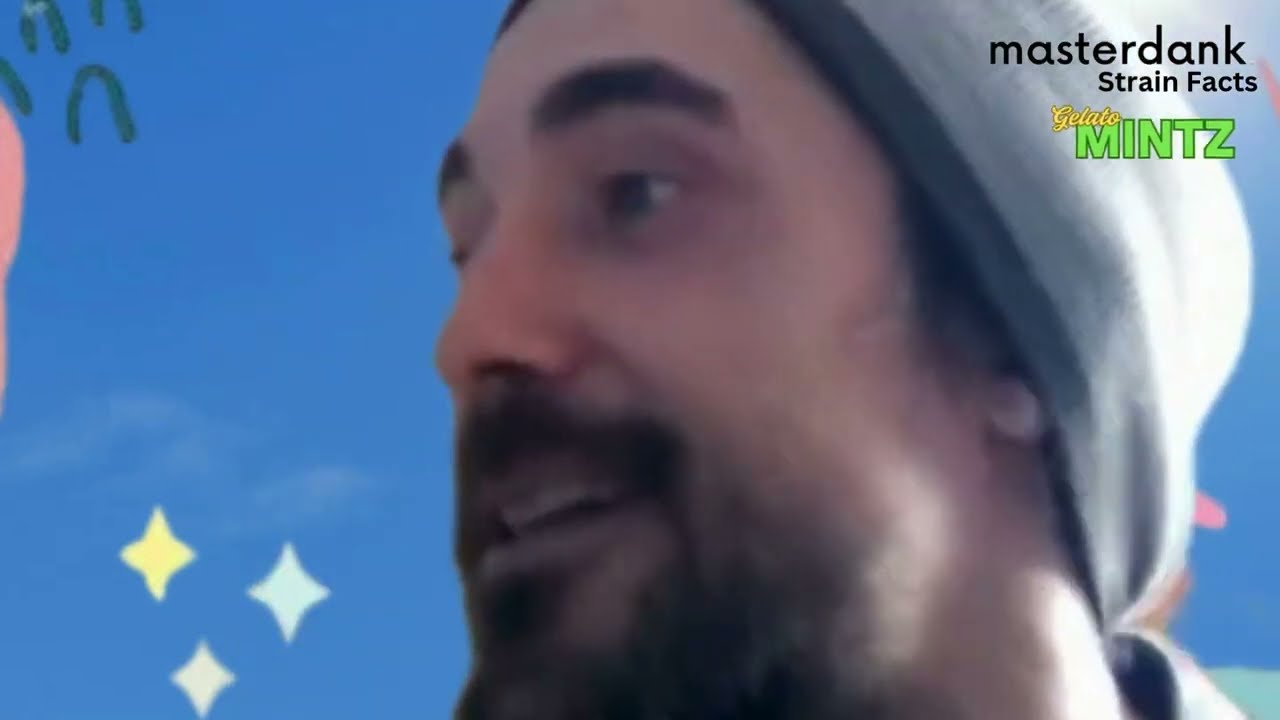 masterdank Strain Facts - Gelato Mintz