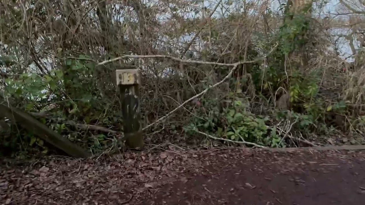 seattle Arboretum Waterfront