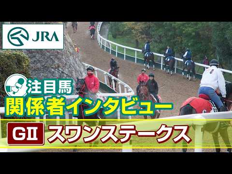 【注目馬 関係者インタビュー】2026年 スワンステークス｜JRA公式