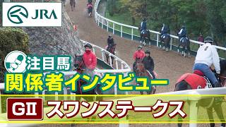 【注目馬 関係者インタビュー】2026年 スワンステークス|JRA公式|JRA公式チャンネル