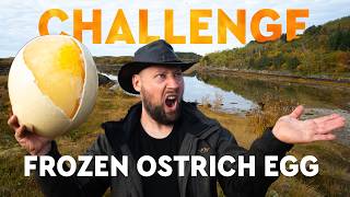 Frozen Ostrich Egg: The Omelette from Hell