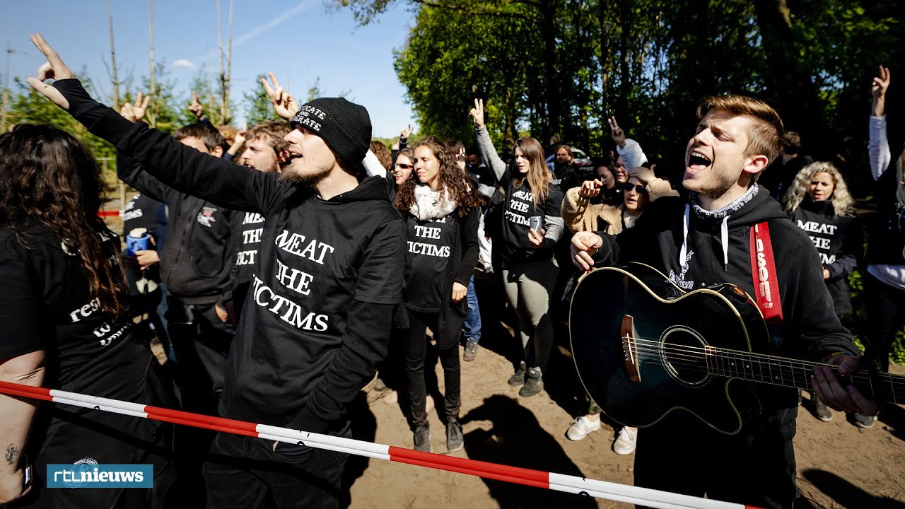 Ruim 200 activisten bezetten varkensboerderij in Boxtel - RTL NIEUWS