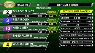 Tampa Bay Downs Live Stream