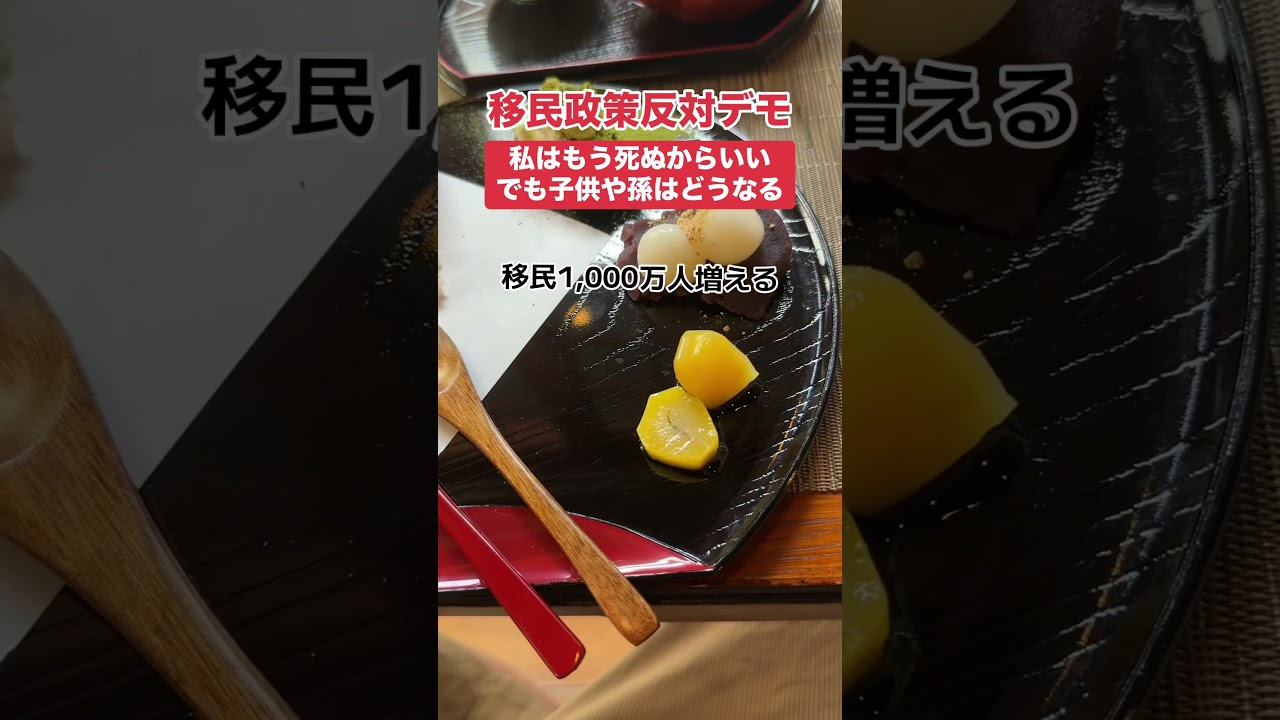 【批判】高齢男性「このまま移民を入れたら子どもや孫はどうなる」