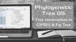Phylogenetic tree | Tree formation on CIPRES and FIG tree | Bioinformatics | Class # 05 Wealth