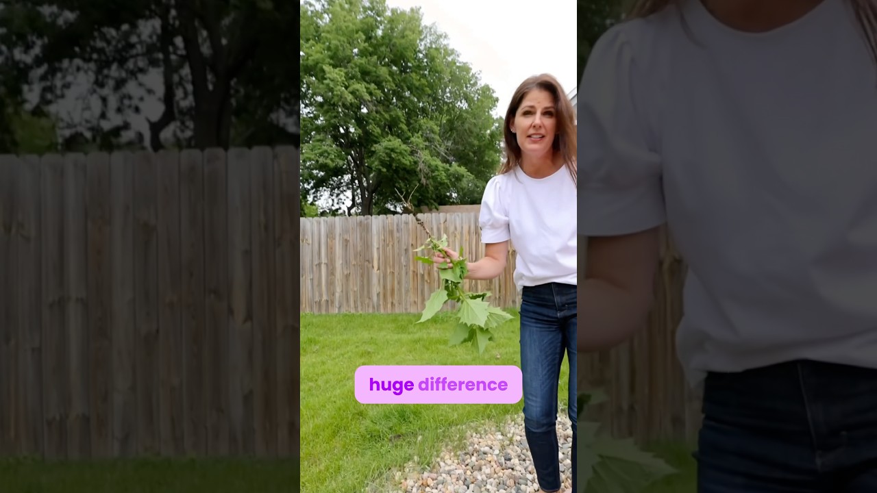 Sioux Falls home selling tips | make sure you do this 