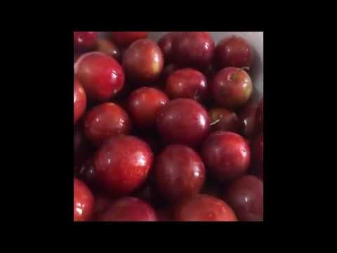 Como fazer Nepali ameixa jam / arubakhada ko jam
