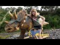 Cute girl, cool Walking Triceratops Ride