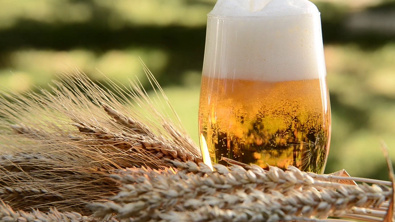 180 Jahre Ottakringer... und noch immer haben wir Durst!