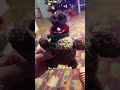 #funnyshorts #christmas #crocheting #enjoylife #happiness