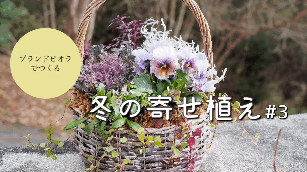 * * *アンティークガーリーな寄せ植え アンティークガーリーな寄せ植え - メルカリ