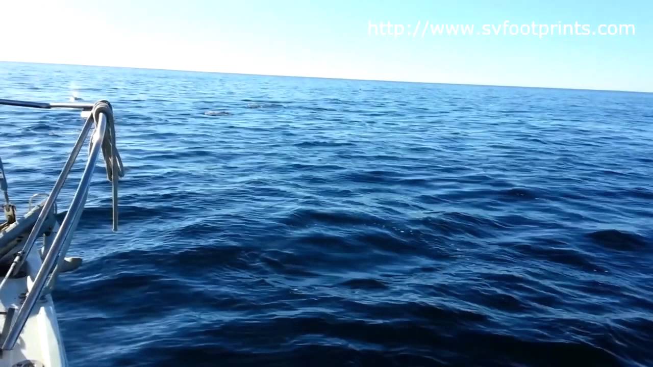 San Diego Shakedown Day 2 - Dana Point