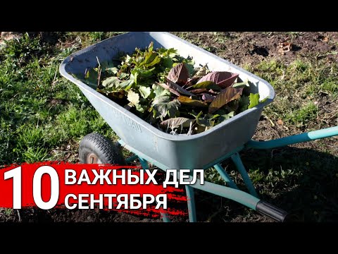 5 важных дел в понедельник — секреты продуктивного начала недели 5 важных дел в понедельник: секреты продуктивного начала недели