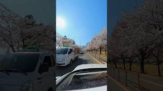 Korea Road Be Like  koreatravel korealife