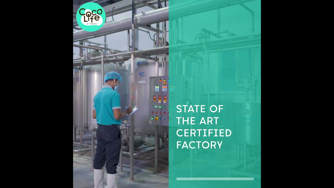 Experience CocoLife: Ethical, natural, & healthy coconut products sourced responsibly & sustainably