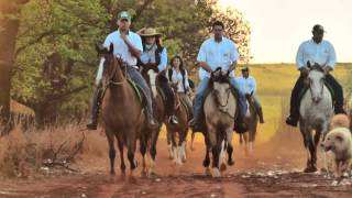 Global Equus International - 2016