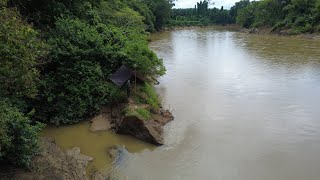 2 Day Camping Fishing Hunting Fish in the Wahau River a Feeding Route for Large Fish