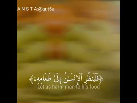 سـورة عبس ــــــ القارئ أحمد خضر