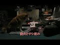 愛犬とサシ飲み