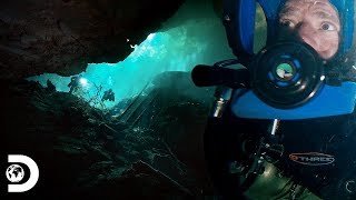 Buceo Extremo En Cenotes De Yucatán Expediciones Con Steve Backshall Discovery Latinoamérica