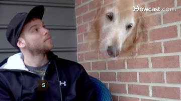 How to Play 20 Questions