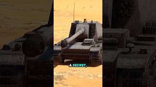 The sturer Emils hidden secret #warthunder