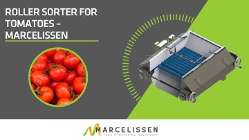 Roller Sorter for Tomatoes – Marcelissen