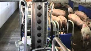 Bd Tech Bigfarmnet Sonocheck