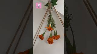 自制干花 Make dry flowers Garden tips
