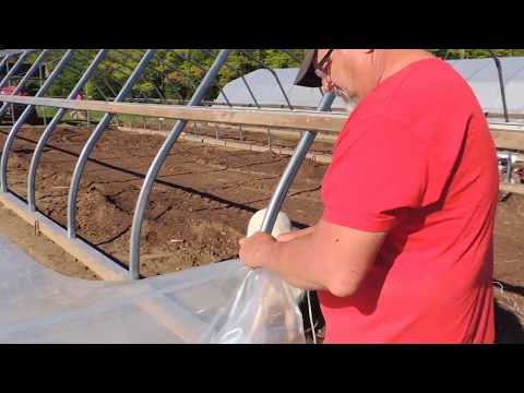 Video: Pelikula Para Sa Mga Greenhouse (70 Mga Larawan): Reinforced Greenhouse At Polyethylene Greenhouse, Na Kung Saan Ay Ang Pinakamahusay At Pinaka Matibay, Laki At Kapal Ng Mga Pabala