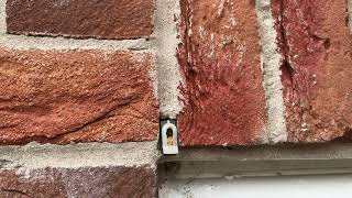 Masonry Bees in wall cavity