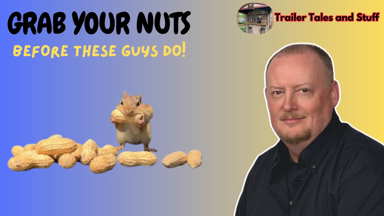 Chipmunks Galore: The Ultimate Cute Compilation.