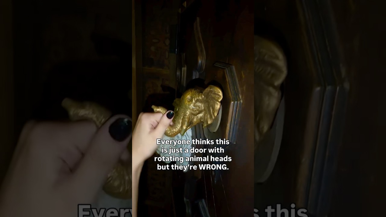 Things aren’t always what they seem🥸🐘