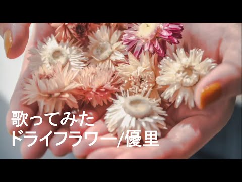 【ドライフラワー／優里】歌ってみた【堂垣内啓太】