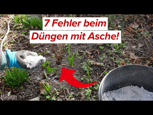 7 Mistakes When Fertilizing with Ash | WARNING: Otherwise you'll destroy  your plants! - YouTube
