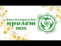 ИЗБОР НА ДЕВОЙКА КЮСТЕНДИЛСКА ПРОЛЕТ 2025 