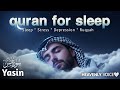 Quran For Sleeping 🎧| Surah Yasin سورة يس | Cure - Ruqyah - Anxiety - Protection - Sleep |#lofiquran