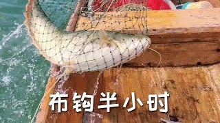 布鉤半小時，提魚一大桶【漁民 梁少】
