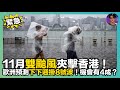 【緊急】11月雙颱風夾擊香港|歐洲預測下下週掛8號波|機會有4成? |娛樂爆爆爆