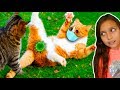 СМЕШНЫЕ 😻КОТЫ на КАРАНТИНЕ! СОБАКИ. СИДИМ ДОМА! НЕ ЗАСМЕЙСЯ ЧЕЛЛЕНДЖ! Funny Cats Реакции Валеришка