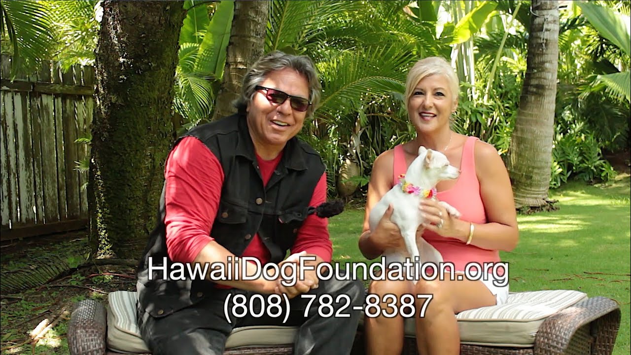 motovlog topics Hawai‘i Dog Foundation - 