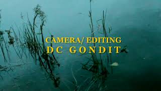 Pill Kyreal Mc Gondit - Ot Beat By Petya Elki Hi-Fi 2021