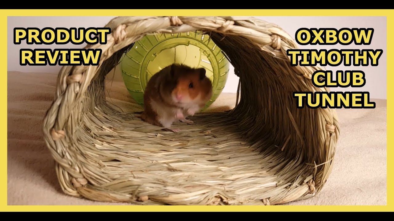 Oxbow Timothy Club Tunnel Small Animal Hideout - Hamster Product Review 