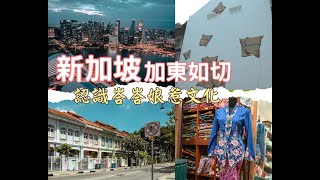 【旅遊攻略】新加坡加東如切認識峇峇娘惹文化｜七彩娘惹屋｜金珠粿粽店｜傳統服飾｜如切藝術壁畫｜街頭藝術｜浮腳排屋｜