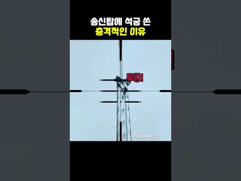 심지어 정의를 위한 행동