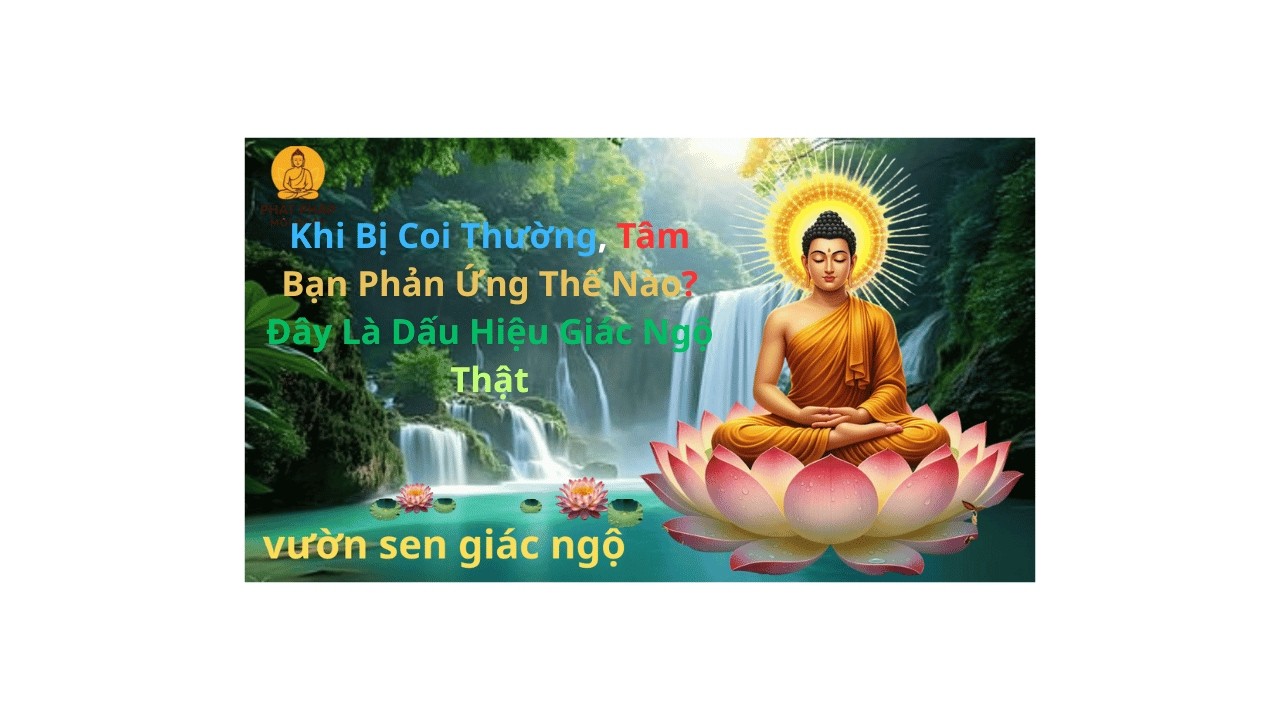 Khi Bị Coi Thường, Tâm Bạn Phản Ứng Thế Nào? ĐÂY LÀ DẤU HIỆU GIÁC NGỘ THẬT