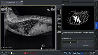 VXVue Software: How to Use the VHS Measurement Tool
