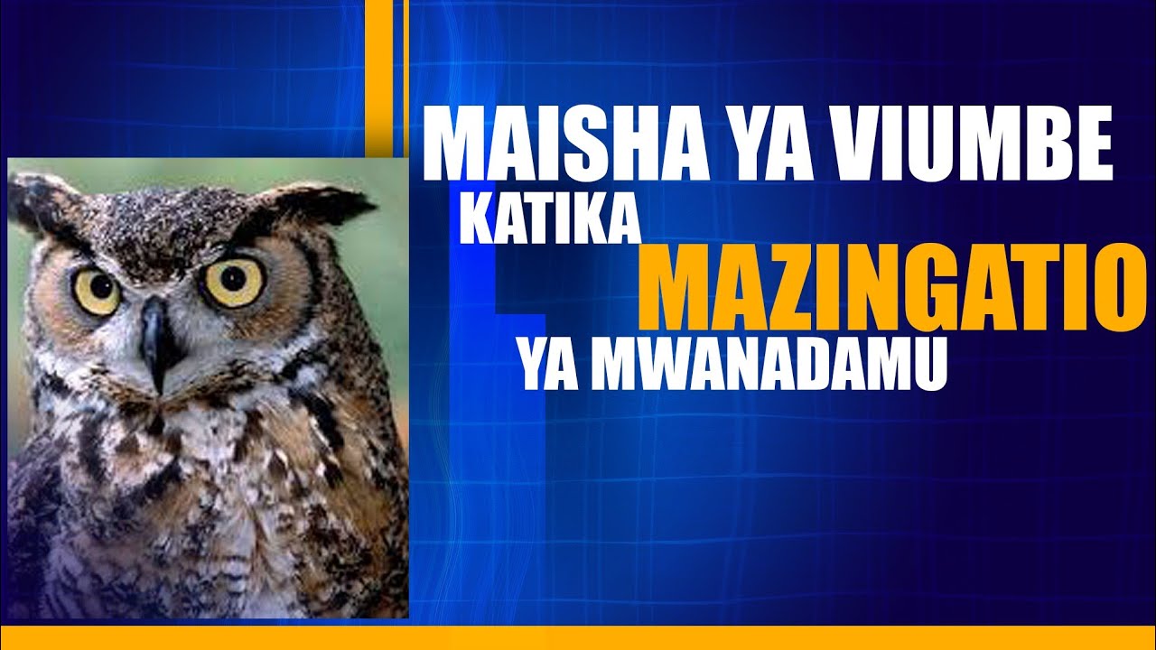 MAUMBILE YA BUNDI NA MAZINGATIO KWA MWANAADAM BY Sheikh Yusufu Diwani الغزالي